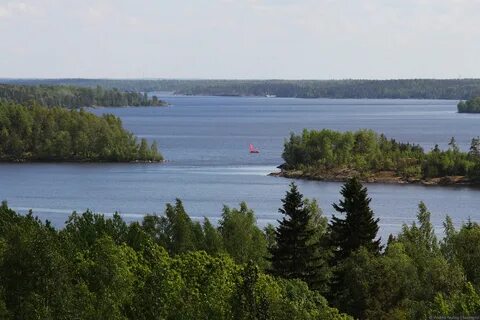 Участки на берегу ладожского озера