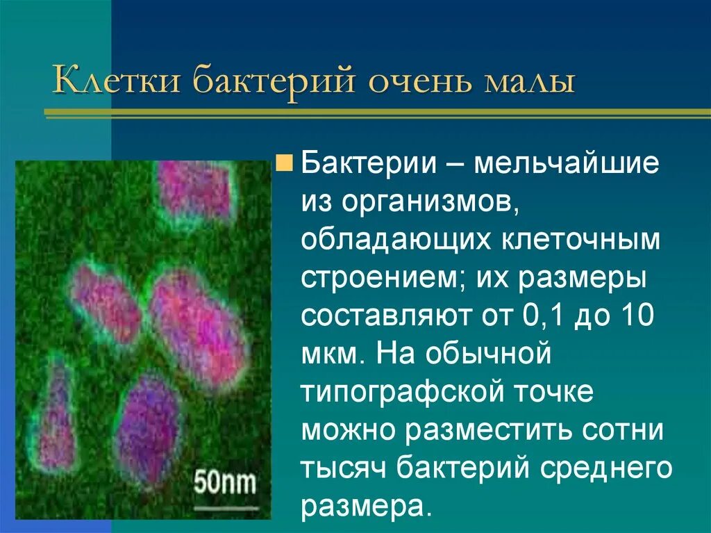 Биология 5 бактерии. Бактерии строение и жизнедеятельность 5 класс биология. строениеижизнидеятельностьбактерий. строение ижизнидеятельность бактерий. жизнедеятельность бактерий 5 класс биология.