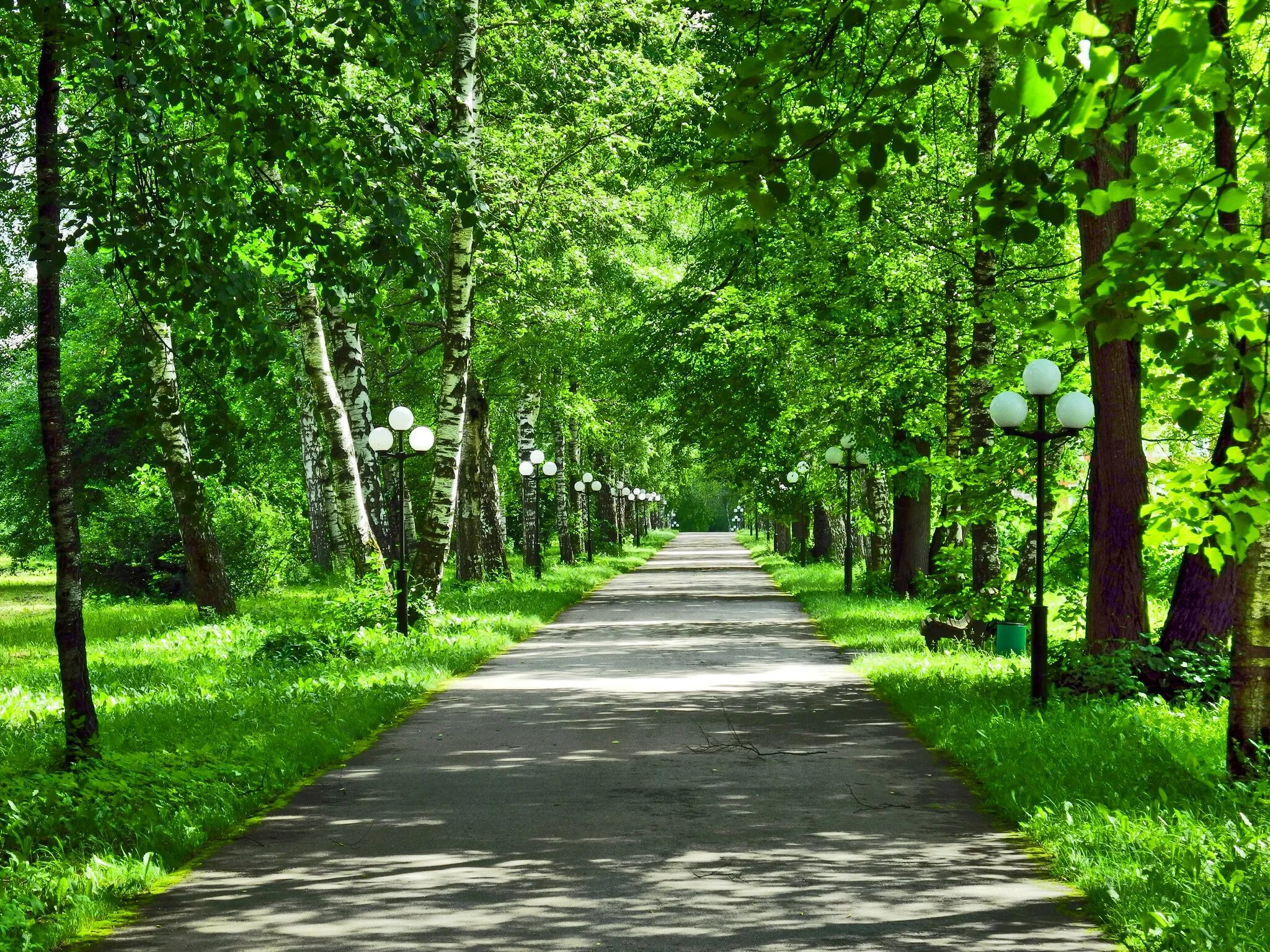 Подмосковное пушкино. Санаторий Пушкина в Московской области. Территория санаторий Пушкино Московская область. Санаторий ЦК Пушкино. Санаторий Пушкино Московская область.