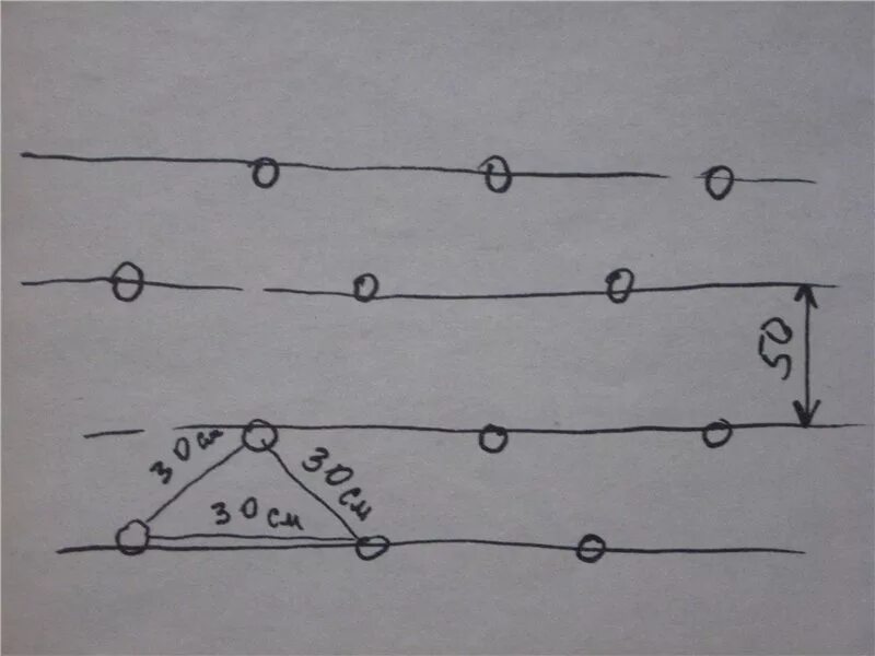 На каком расстоянии ряды картошки. Посадка картофеля расстояние сдвоенными рядами. Расстояние между рядами при посадке картофеля. Схема посадки картофеля. Схема сдвоенной посадки картофеля.