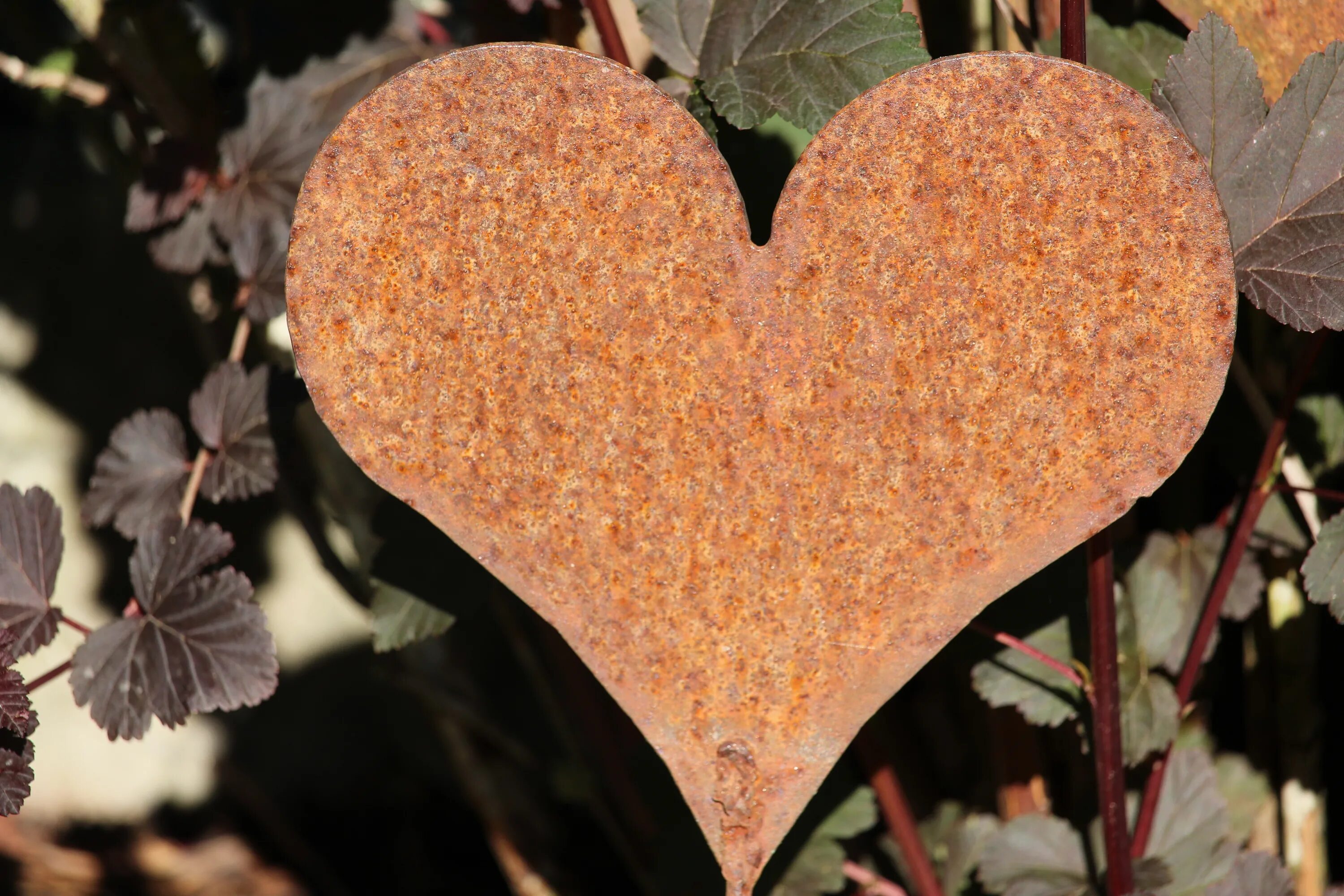 Бисер. Сердечко картинки позитивные. Сердечко необыкновенное. Необычное сердечко картинки. Сердце.