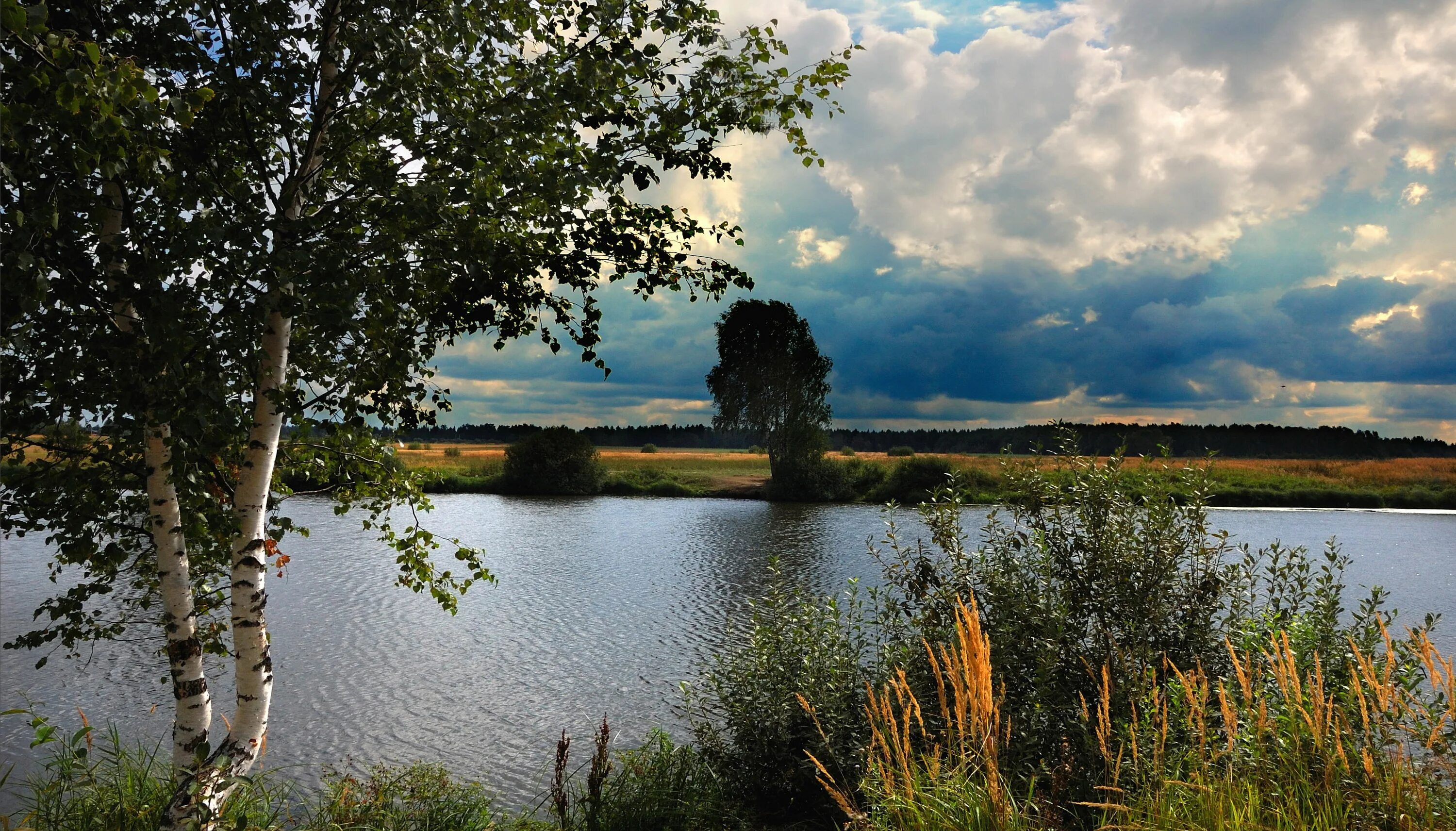 Родной край связь. Русь река береза. Россия просторы Березки реки. Русь природа Нижегородская область. Родина березы речка Россия.