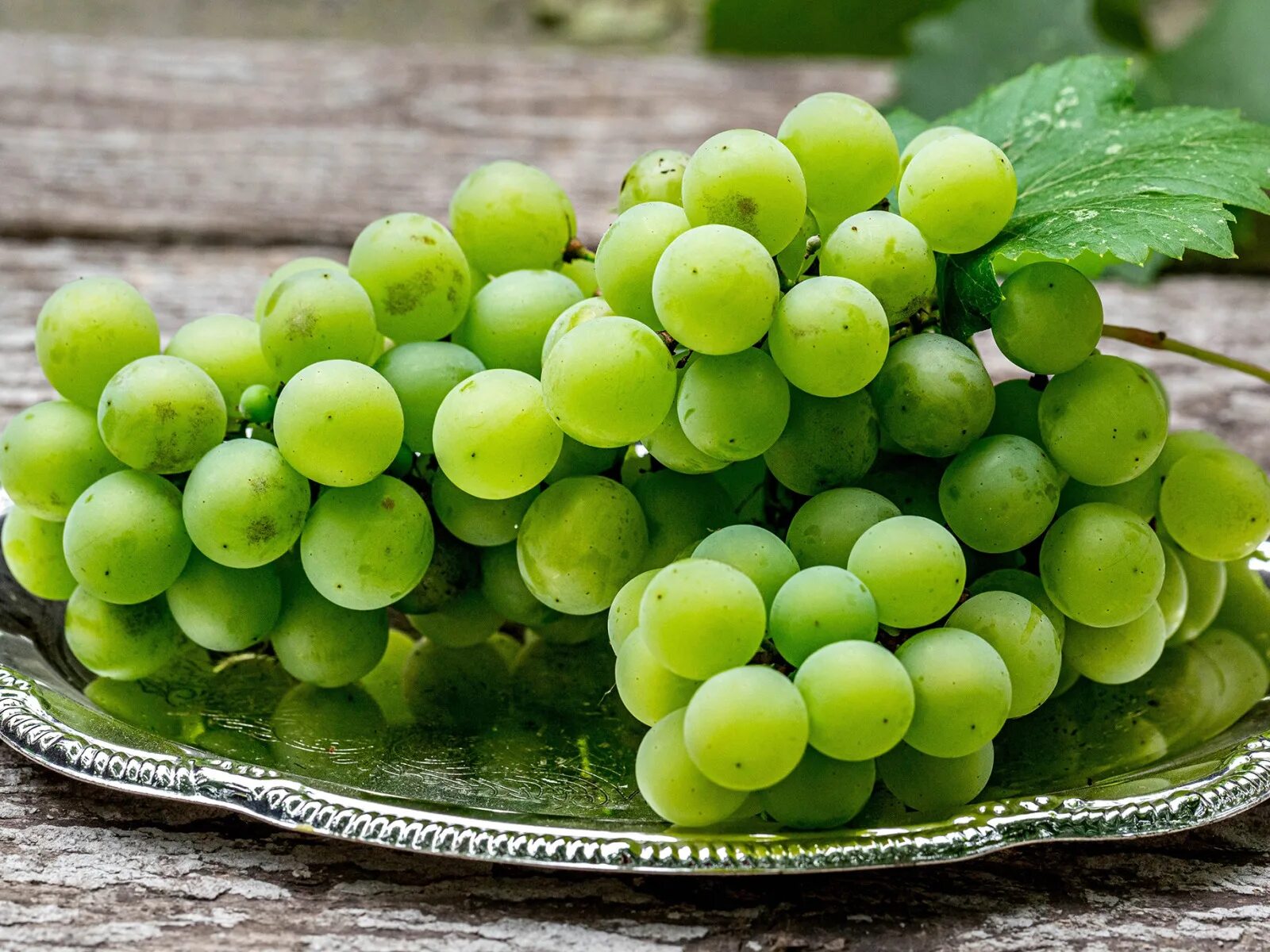 Free Images : grape, fruit, flower, food, green, produce, agriculture, grapes, f