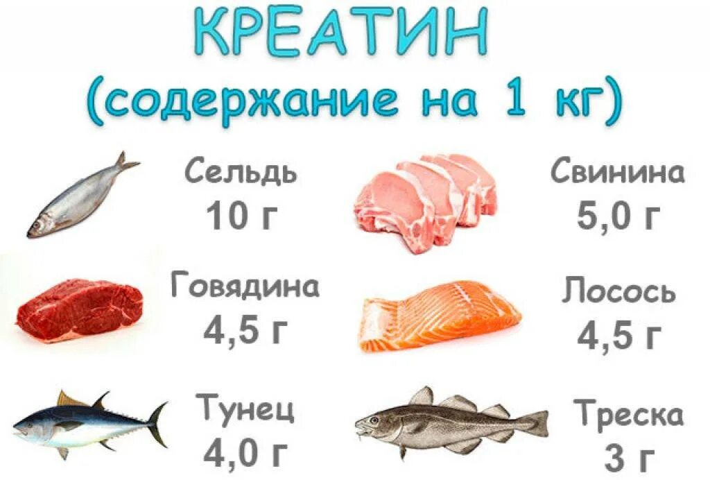 В каких продуктах содержится креатин. Продукты содержащие креатин. Содержание креатина в продуктах. Продукты богатые креатином. В каких продуктах есть мясо