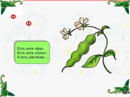 Загадка горох