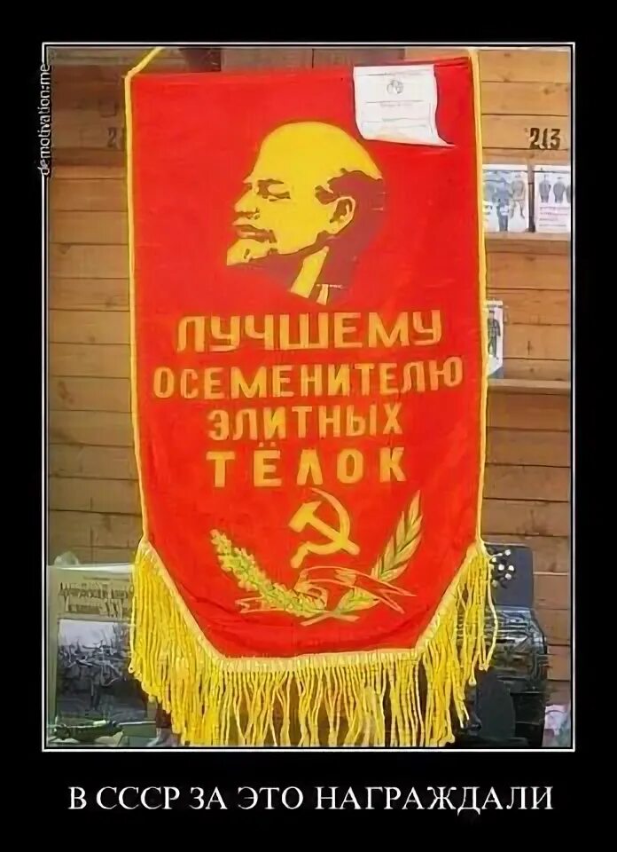 Осеменитель и жизнь с загипнотизированной. Осеменитель и жизнь с загипнотизированной