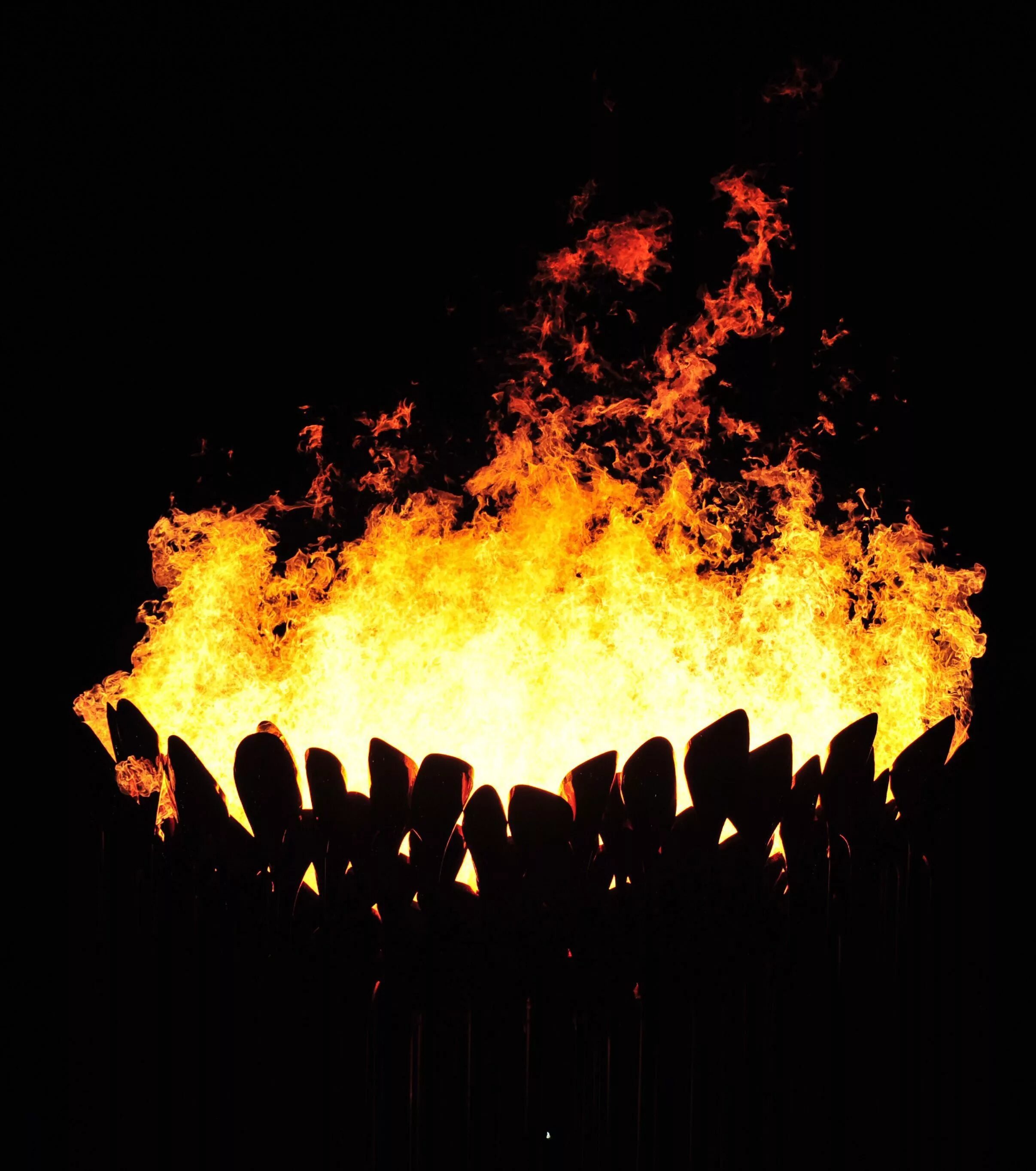 зажглись красивые огни.