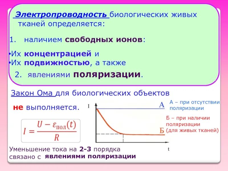 Механические свойства биологических тканей. Закон Ома для участка биологической ткани. Электропроводность живых тканей определяется. Проводниковые свойства биологических тканей. Особенности электропроводности живых тканей поляризация.