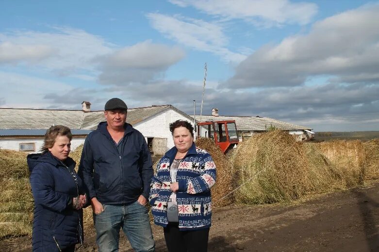 Погода в перевозе нижегородской на 14. Перевоз (Нижегородская область). Группы сельхозпроизводителей.