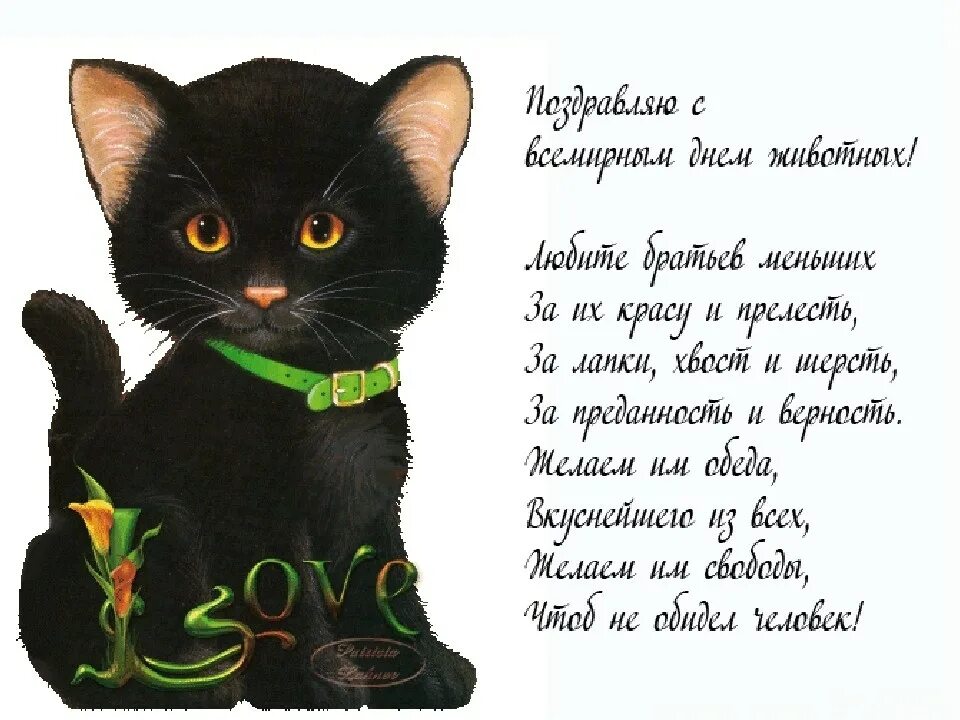 С праздником кошек открытки. Пожелание кошке. Поздравление с днем кошек. День кошек поздравления открытки.