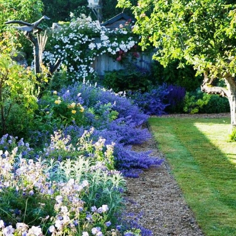 Look there is in the garden