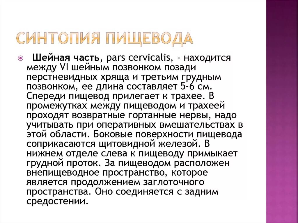 Синтопия пищевода. Синтопия грудного отдела пищевода. Синтопия пищевода анатомия. Синтопия шейного отдела пищевода.