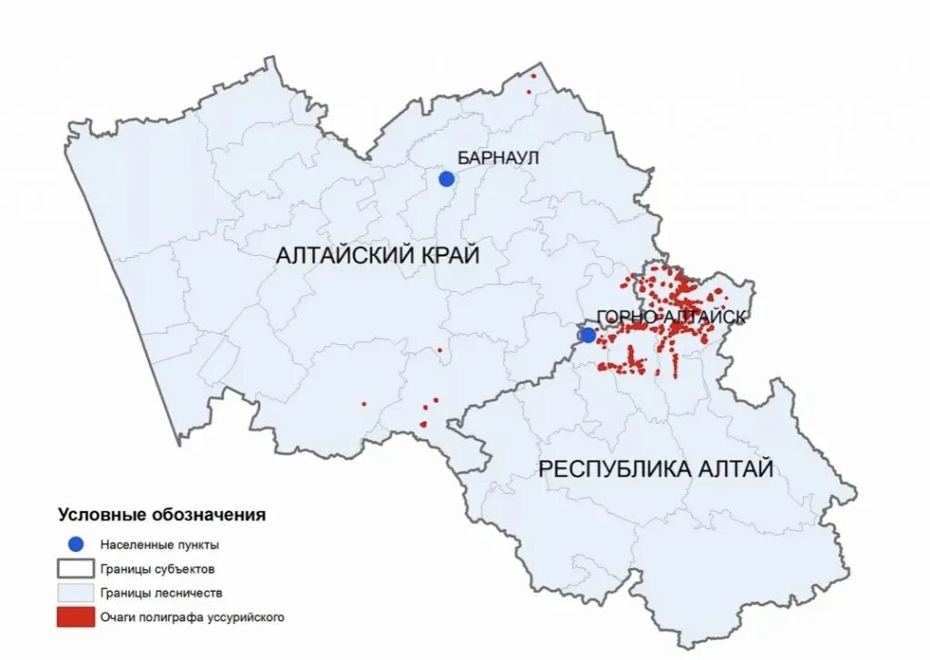 Алтайска область. Республика Алтай и Алтайский край в чем разница на карте России. Алтайский край и Республика Алтай в чем разница на карте. Алтайская Республика и Алтайский край на карте. Алтайский край и Алтайская Республика на карте России.