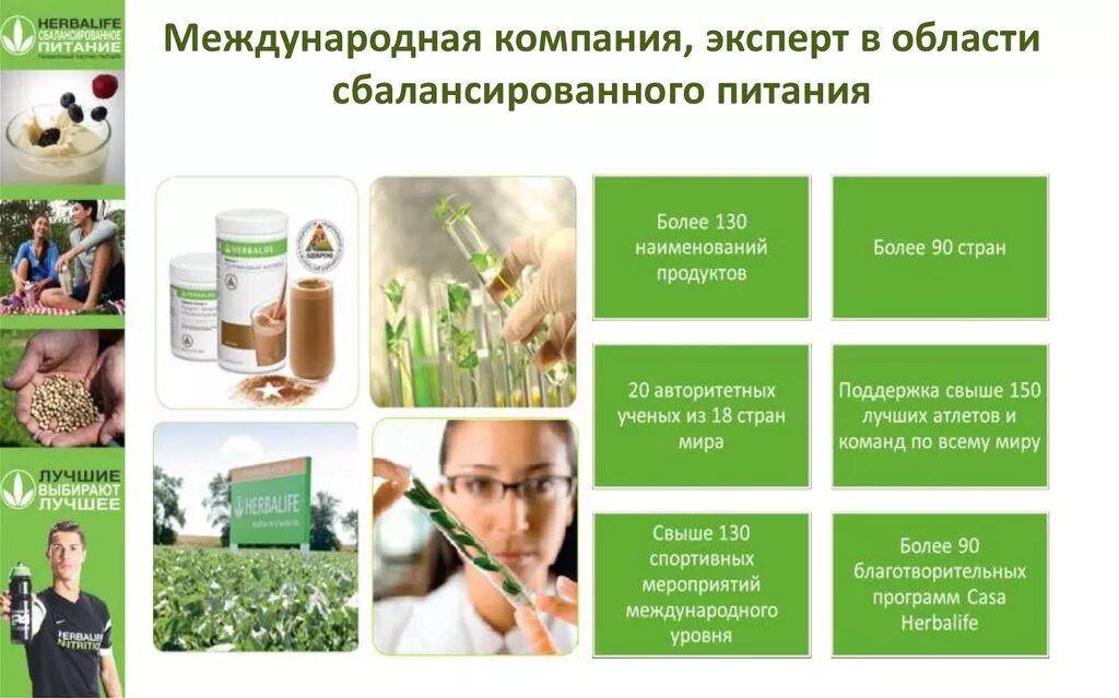 Гербалайф работает. Herbalife питание. сбалансированное питание гербалайф. факты о гербалайф.