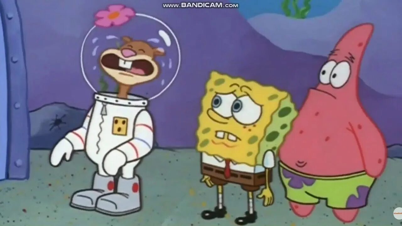 Spongebob lil texas pinotello
