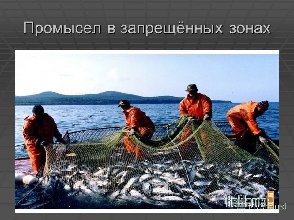 Хозяйственная деятельность индийского океана. Промысел тунца. Хозяйственное значение тихого океана. Хозяйственное значение тихого океана. Значение тихого океана.