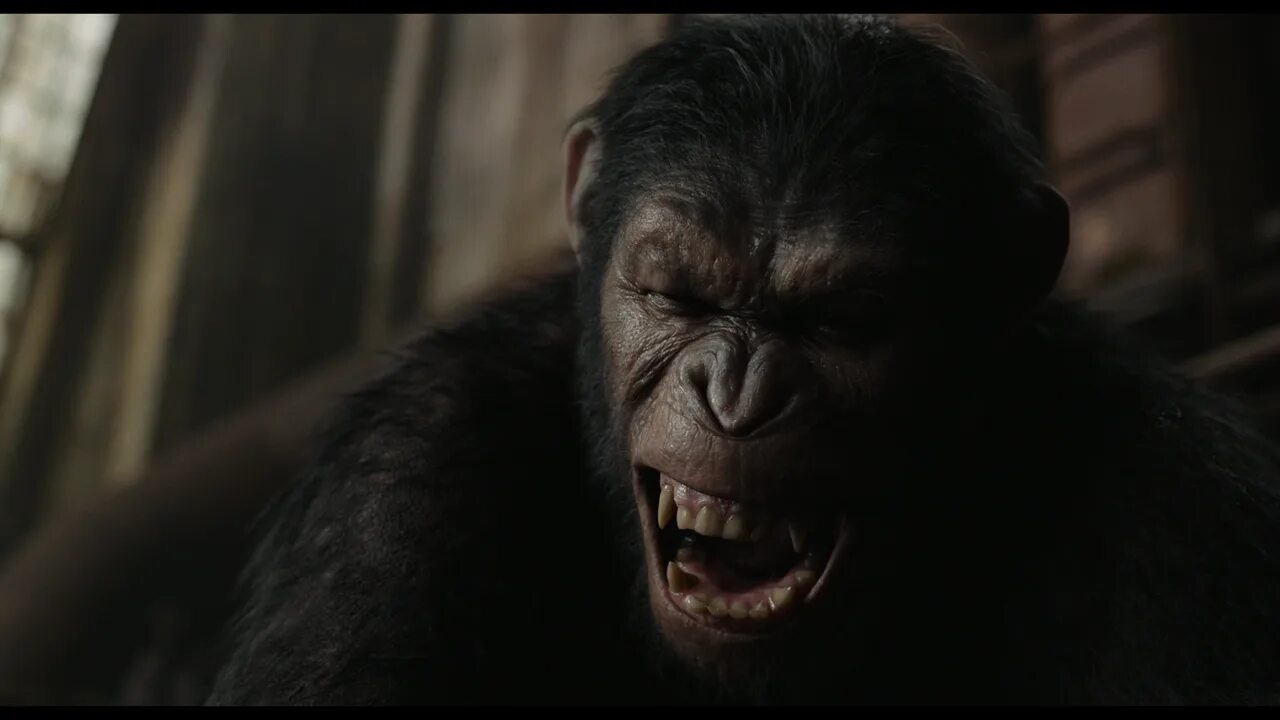 Планета обезьян 2014 качество. Крулл Планета обезьян. Планета обезьян: революция (2014). Царство планеты обезьян.