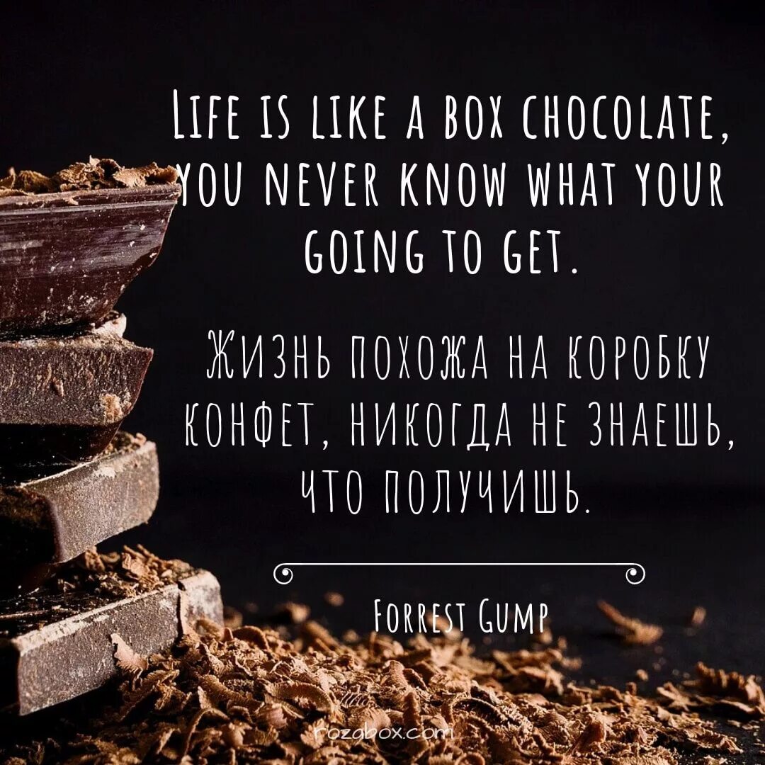 Зарабатывать на жизнь на английском. Цитаты на английском. цитаты на английском с переводом. цитата. цитаты на англ.