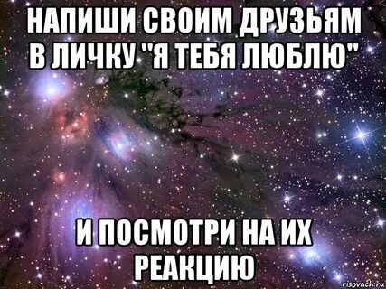Напиши что они любят есть