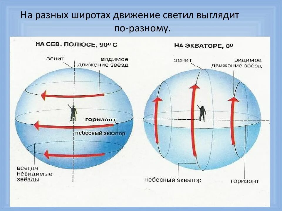 Расположение в высоких широтах. Суточное движение звезд на разных широтах. Движение светил на различных широтах. Движение звезд на средних широтах. Связь видимого расположения объектов на небе.