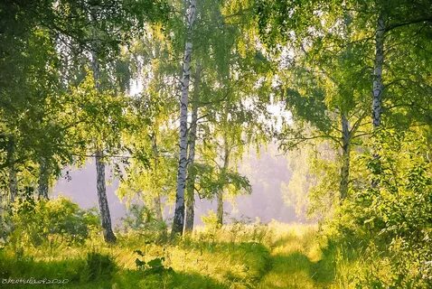 16 солнечный день
