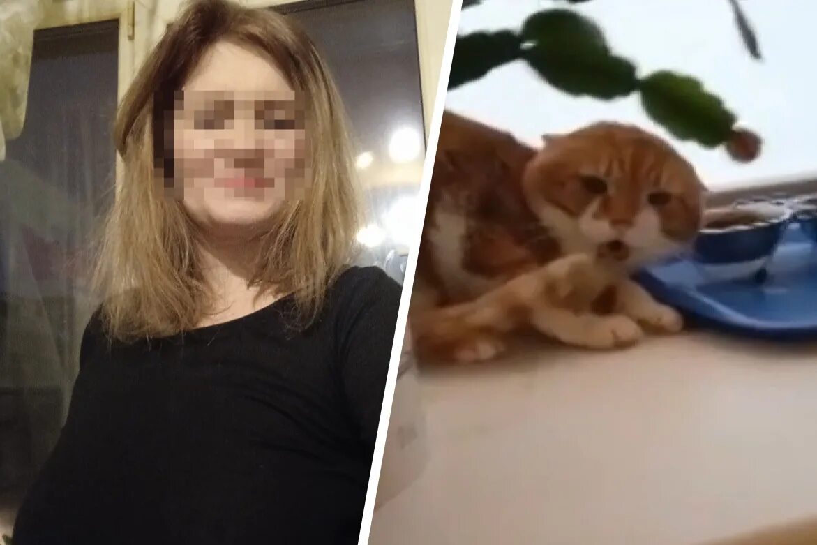 Памятник коту кузе в северодвинске. Кот кузя северодвинск могила. Кот кузя живодеры. Северодвинск живодеры кот кузя. Памятник замученному коту.