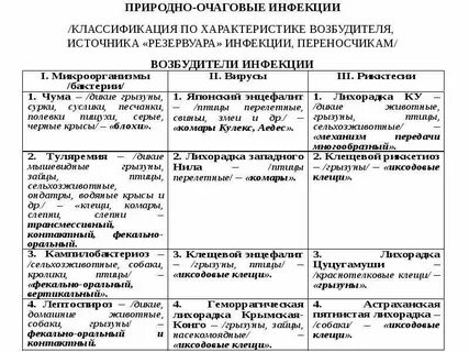Природная инфекция