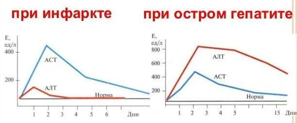 Показатели аст и алт при циррозе печени. Показатели алат и АСАТ при вирусных гепатитах. Показатели АСТ И АСТ при гепатите. Алт АСТ это показатель чего. Гепатит с а АСАТ И алат в норме.