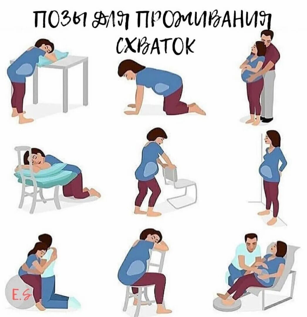 Гимнастика для беременных на фитболе на 2 триместре. Упражнения на фитболе для беременных 3 триместр. Сидеть во время схваток. Сидеть во время схваток. Сидеть во время схваток.