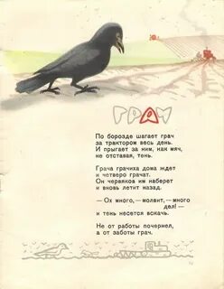 Слова песни грачи