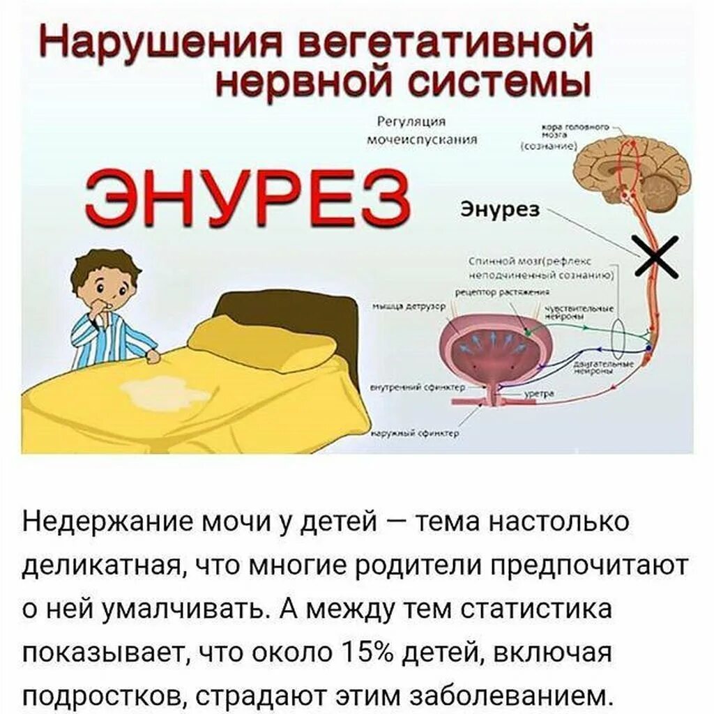 Нарушение функции мочеиспускания