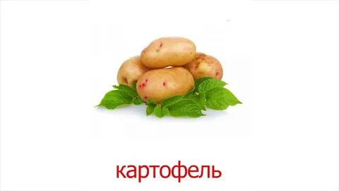 Подбери к слову картофель