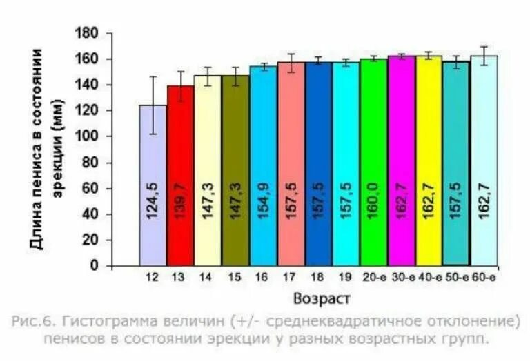 Размеры мужского пола. Таблица размеров мужских половых органов. средний размер мужского полового органа. статистика члена по возрасту. средний статистический размер члена.