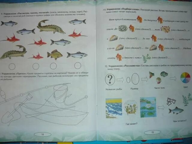 Рыбы домашнее задание для дошкольников. Рыбы задание для дошкольников логопеда. Лексическая тема рыбы в средней группе. Теремкова рыбы. Лексическая тема рыбы старшая группа