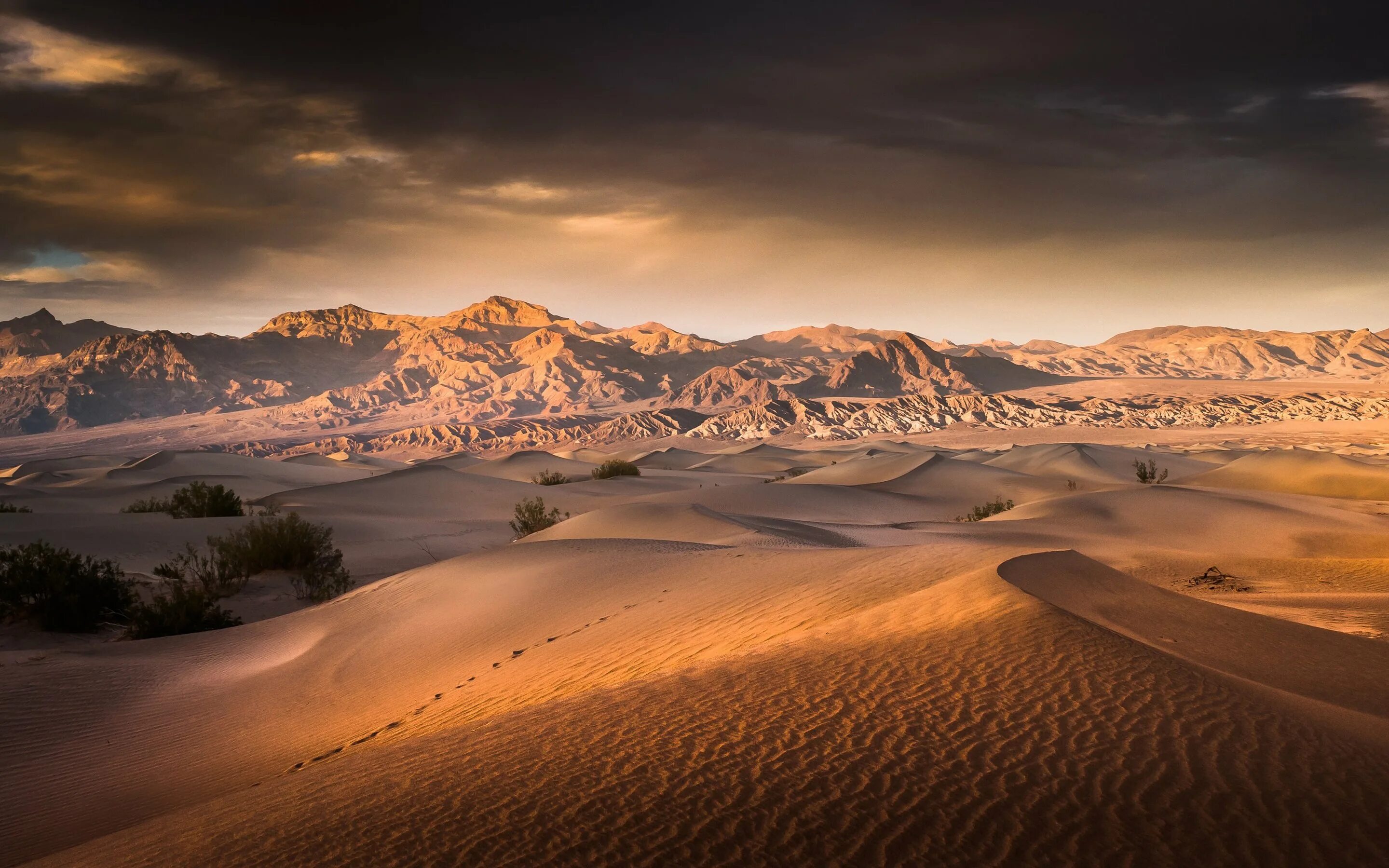 Дюны Долины смерти,Калифорния. Чарские Пески. Кыцевская пустыня. Чарские Пески Забайкальский край.