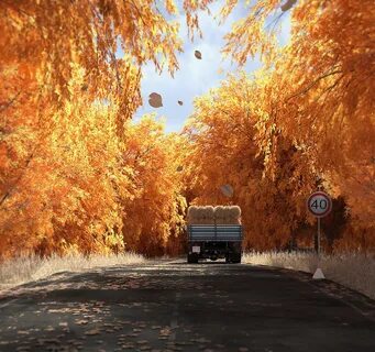 Autumn falls bus