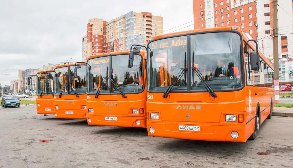 Остановки 56 автобуса нижний. НПАП 1 Икарус. НПАП 7 Нижний Новгород. НПАП 1 Нижний Новгород. ЛИАЗ Нижний Новгород.