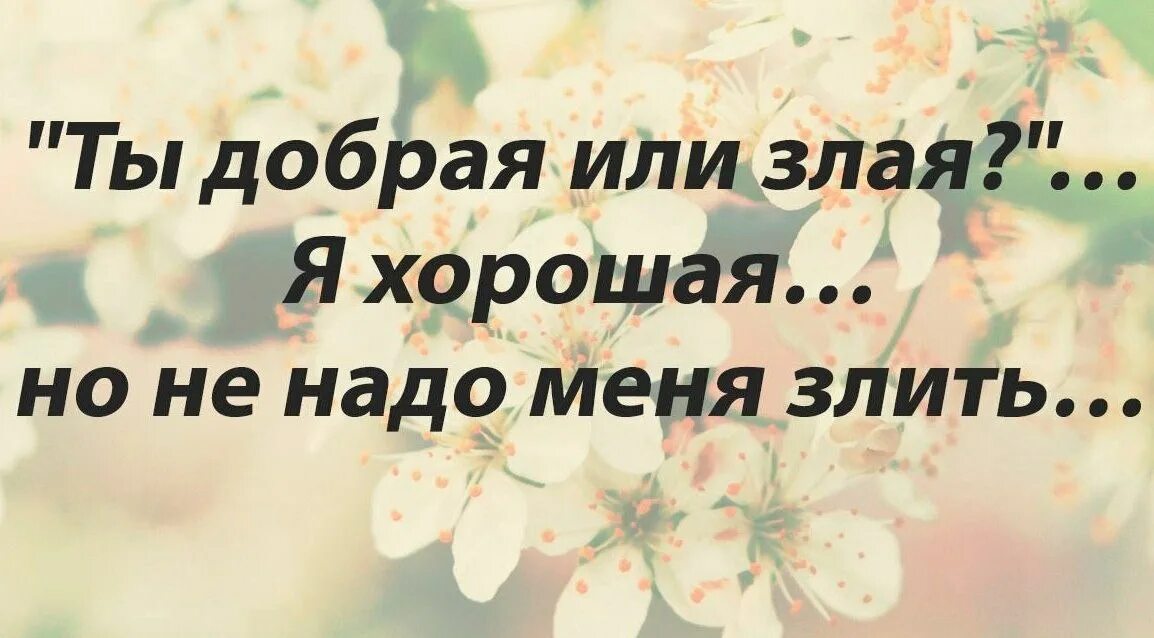 ни злой ни добрый. люди не помнят добра. ни злой ни добрый. мудрец ошо высказывания. зло никогда не одолеет того кто творит добро.