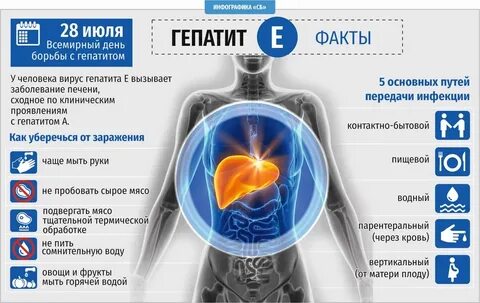 Гепатит е