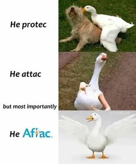 But he s coming