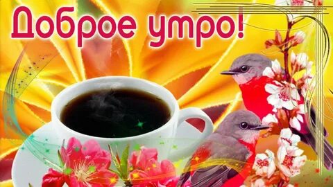 Открытки с добрым утречком днем