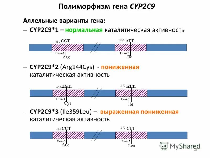 варианты наследования гена гемофилии. гемофилия кариотип. варианты гена. варианты наследования пола. генетический полиморфизм cyp2c9.