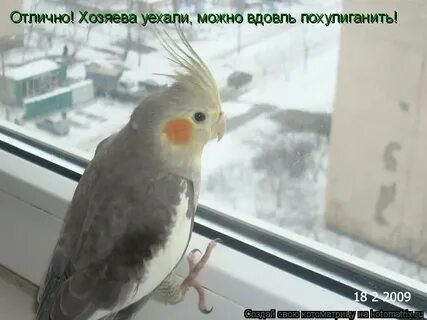 Привет как дела как настроение