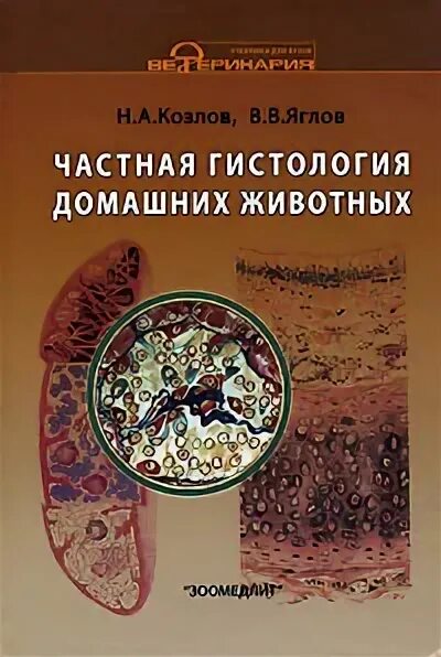 Гистология елисеев афанасьев купить. Ветеринарная гистология. Цилиндрома гистология. Гистология ветеринария пособие. Смешанный тромб артерии микропрепарат.