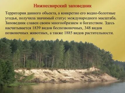 Статус территории заповедника