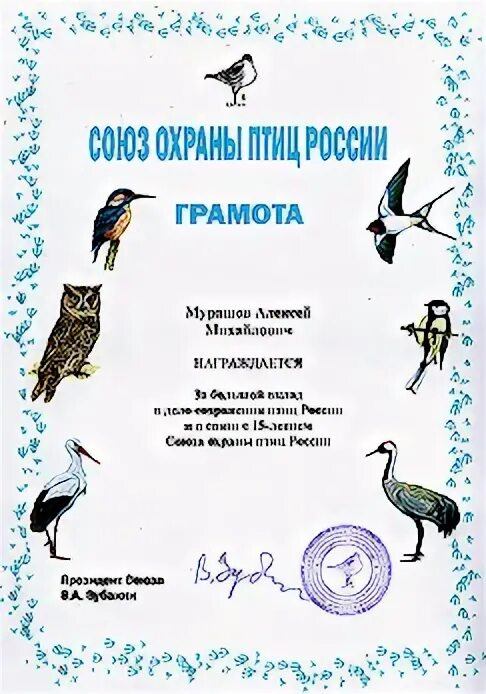 грамота день птиц. шаблоны грамот птицы. рамки с птичками детские. грамота день птиц. грамота за участие в акции скворечник.