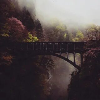 Komorebi