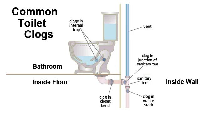 Common Toilet. U-Bend унитаз. Value units toilet