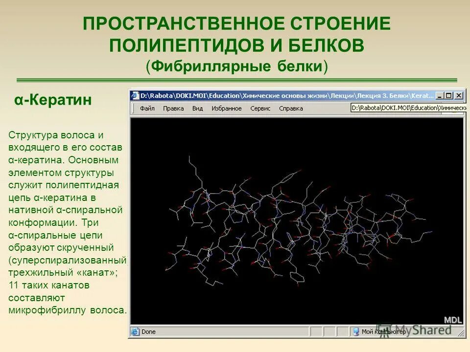 Нативная конформация белков. Фибриллярные структуры. Пространственное строение полипептидов и белков. Кератин фибриллярный белок. Кератин строение белка.