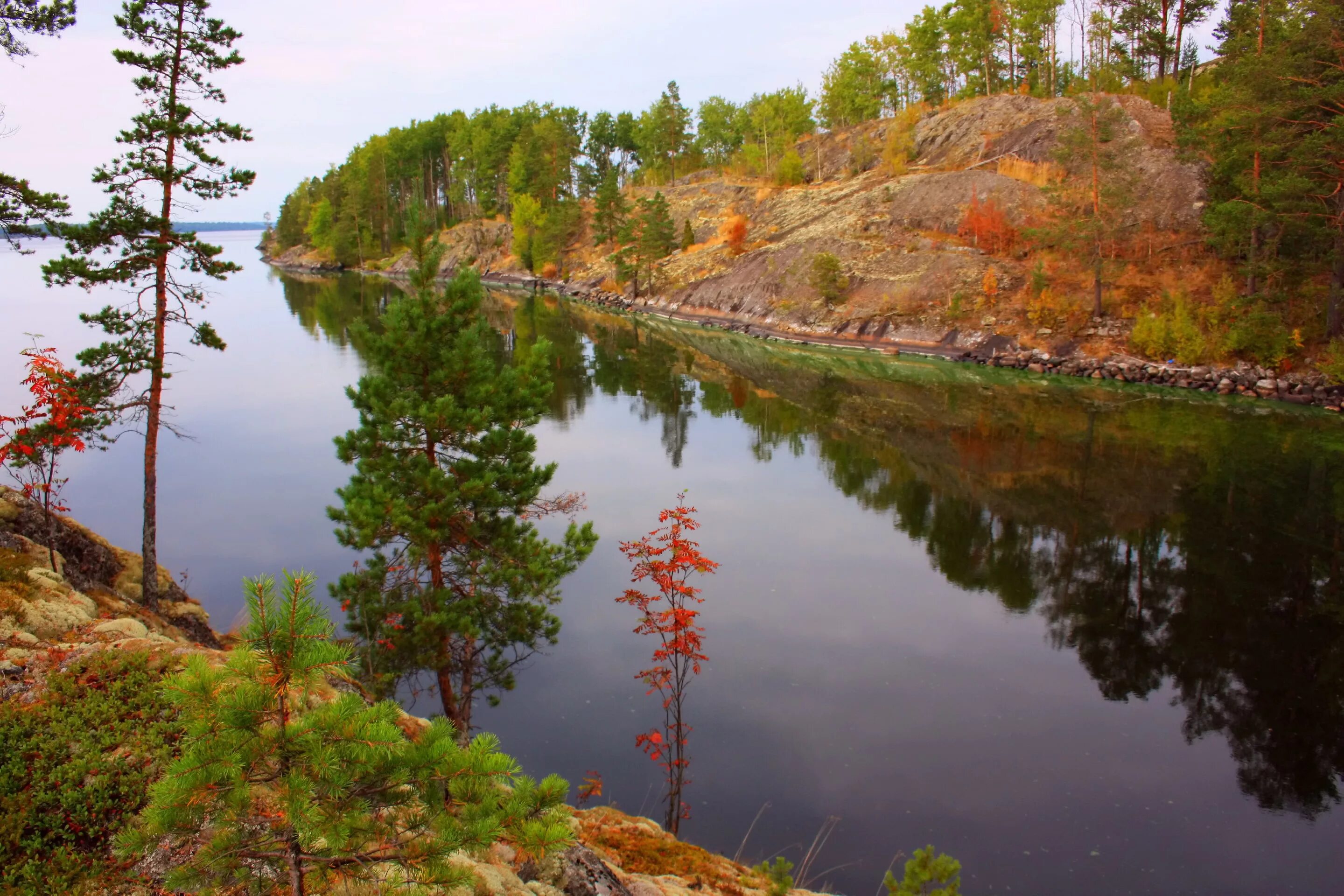 Природа северо запада района. Карелия осень. Природа Карелии. Пейзажи Карелии. Осенний пейзаж Карелия.